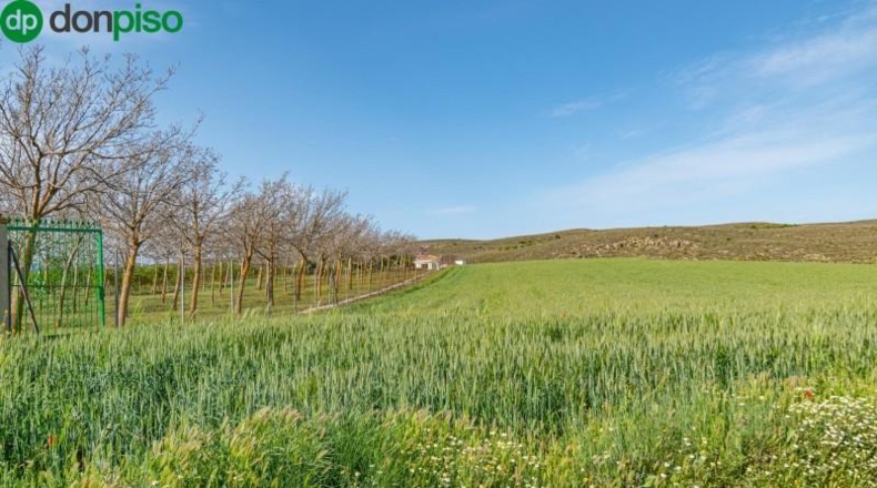 Granada - Padul - 13772m2