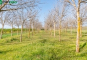 Non-developable land for sale on España, Padul, ref: TR243243 photo