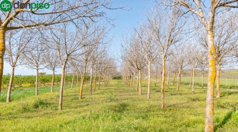 Granada - Padul - 13772m2