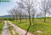 Non-developable land for sale on España, Padul, ref: TR243243 photo