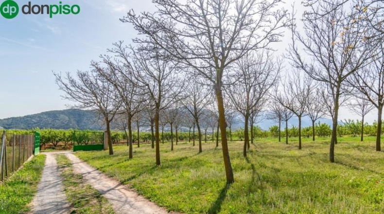 Granada - Padul - 13772m2