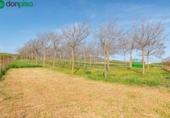 Non-developable land for sale on España, Padul, ref: TR243243 photo