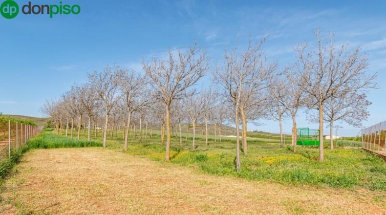 Granada - Padul - 13772m2