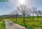 Non-developable land for sale on España, Padul, ref: TR243243 photo