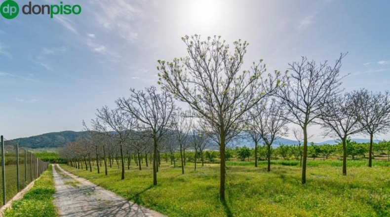 Granada - Padul - 13772m2