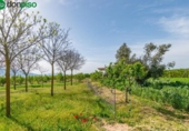 Non-developable land for sale on España, Padul, ref: TR243243 photo