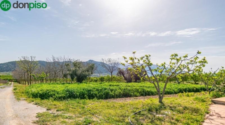 Granada - Padul - 13772m2