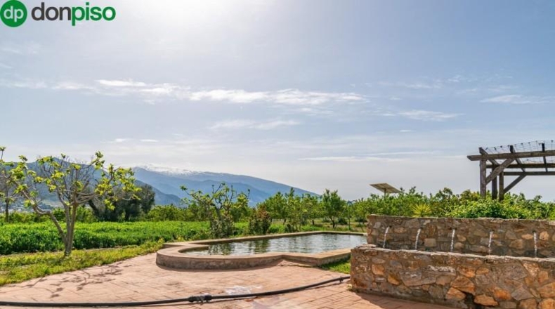 Granada - Padul - 13772m2