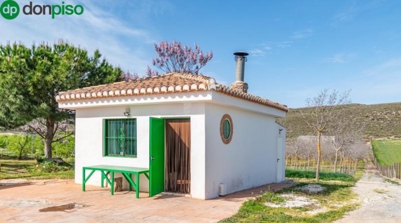 Granada - Padul - 13772m2