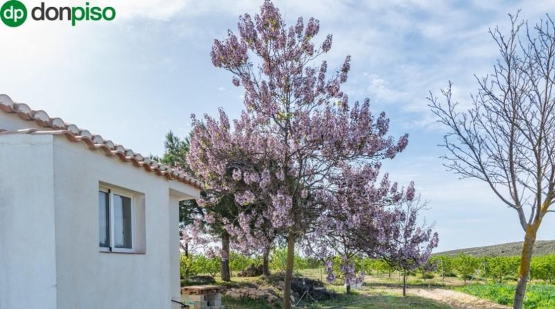 Granada - Padul - 13772m2