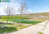 Non-developable land for sale on España, Padul, ref: TR243243 photo