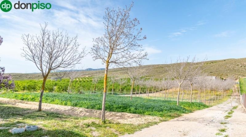 Granada - Padul - 13772m2