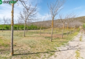 Non-developable land for sale on España, Padul, ref: TR243243 photo