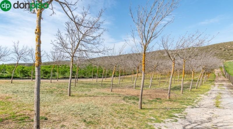 Granada - Padul - 13772m2