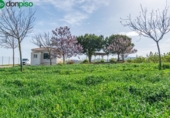 Non-developable land for sale on España, Padul, ref: TR243243 photo
