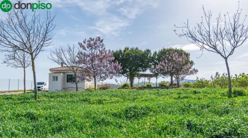 Granada - Padul - 13772m2