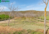 Non-developable land for sale on España, Padul, ref: TR243243 photo