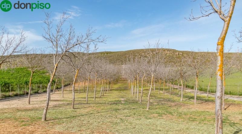 Granada - Padul - 13772m2