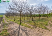 Non-developable land for sale on España, Padul, ref: TR243243 photo