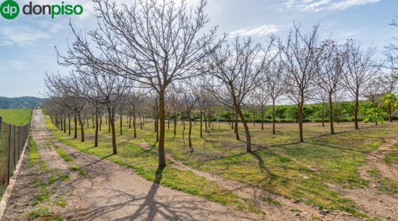Granada - Padul - 13772m2