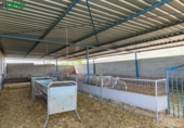 Non-developable land for sale on España, Padul, ref: TR243243 photo