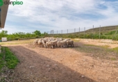 Non-developable land for sale on España, Padul, ref: TR243243 photo