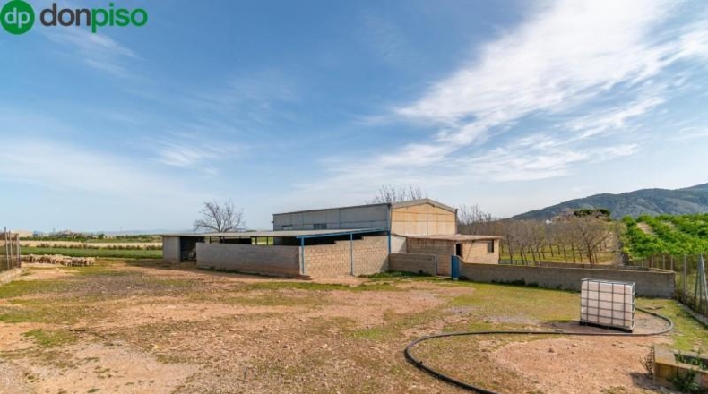Granada - Padul - 13772m2