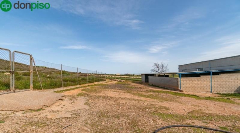 Granada - Padul - 13772m2