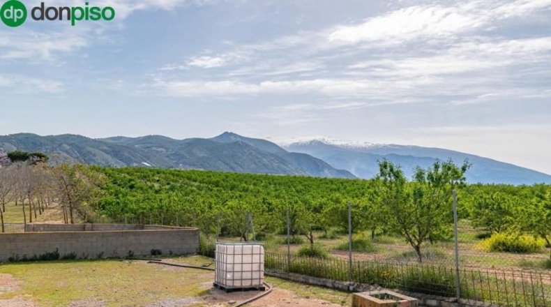 Granada - Padul - 13772m2