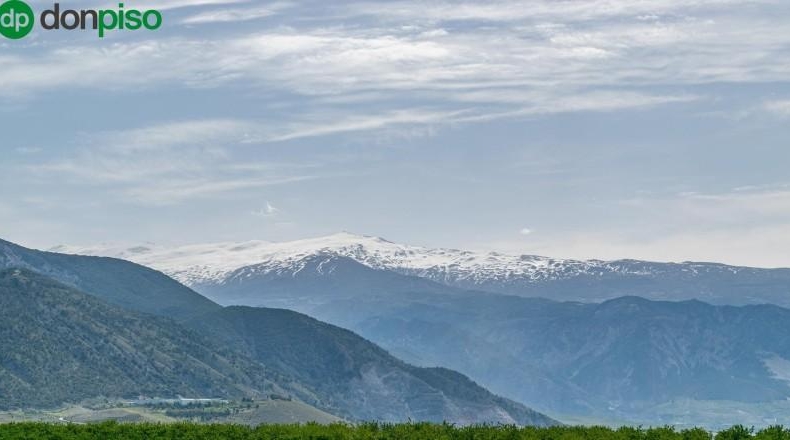 Granada - Padul - 13772m2