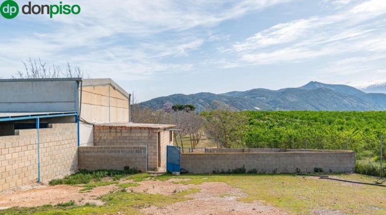 Granada - Padul - 13772m2