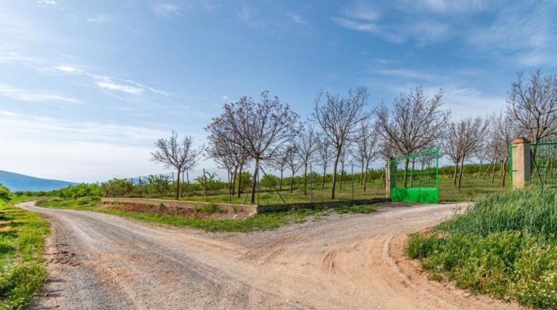 Granada - Padul - 13772m2