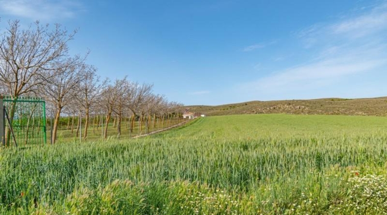 Granada - Padul - 13772m2