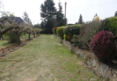 Detached villa with land for sale on España, Villamuriel de Cerrato, ref: TR191838 photo