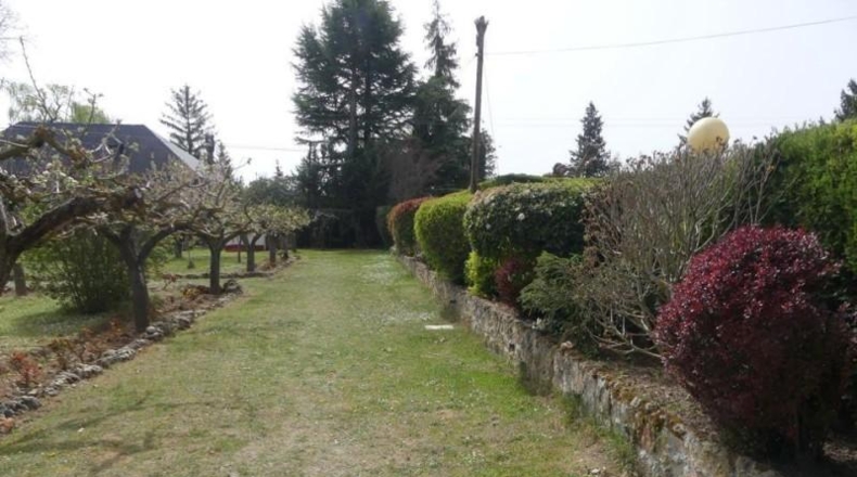 Palencia - Villamuriel de Cerrato - 10000m2