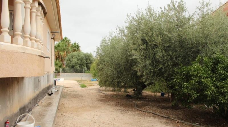 Murcia - Las Torres de Cotillas - 1300m2