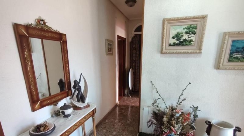 Alicante - Orihuela - 2000m2