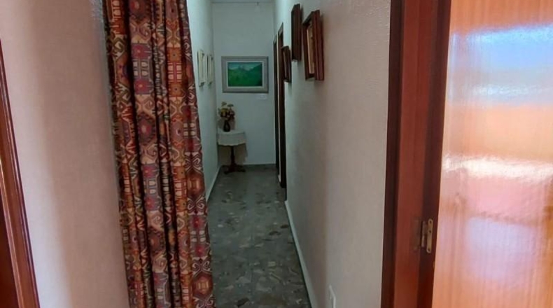 Alicante - Orihuela - 2000m2