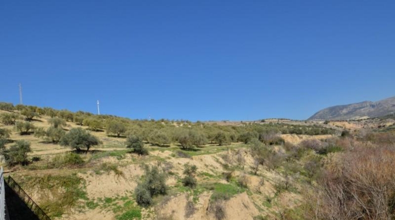 Granada - Granada - 31700m2