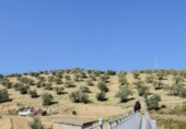 Xalet independent amb terreny en venda a la España, Granada, ref.: TR315851 foto