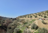 Xalet independent amb terreny en venda a la España, Granada, ref.: TR315851 foto