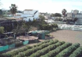 Casa de camp amb terreny en venda a la España, Sanlúcar de Barrameda, ref.: TR154136 foto
