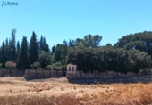 Parcel·la urbanitzable en venda a la España, Castilleja de Guzmán, ref.: TR170126 foto
