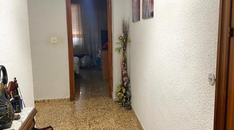 Alicante - Orihuela - 690m2