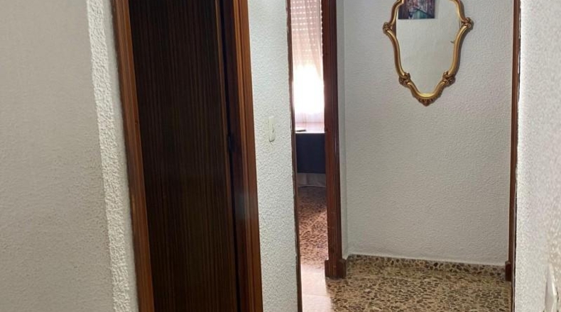 Alicante - Orihuela - 690m2