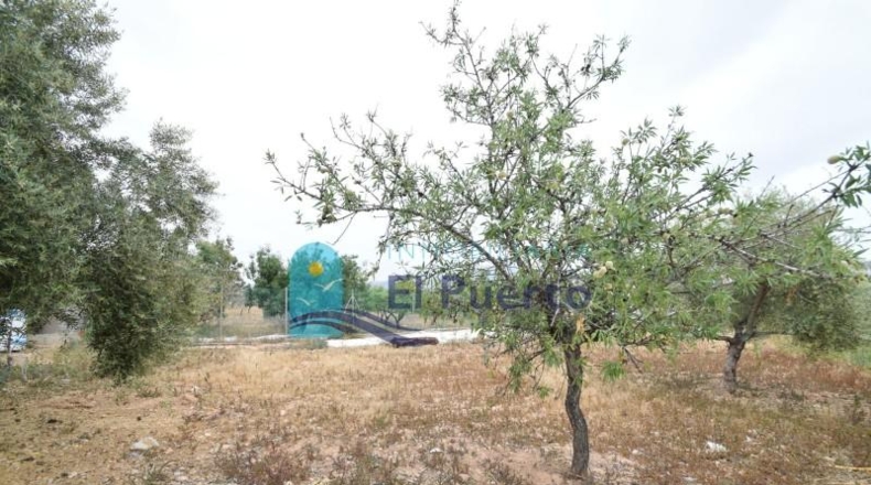 Murcia - Cartagena - 3350m2