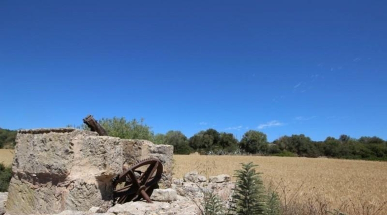 Balearic Islands - Porreras - 31000m2