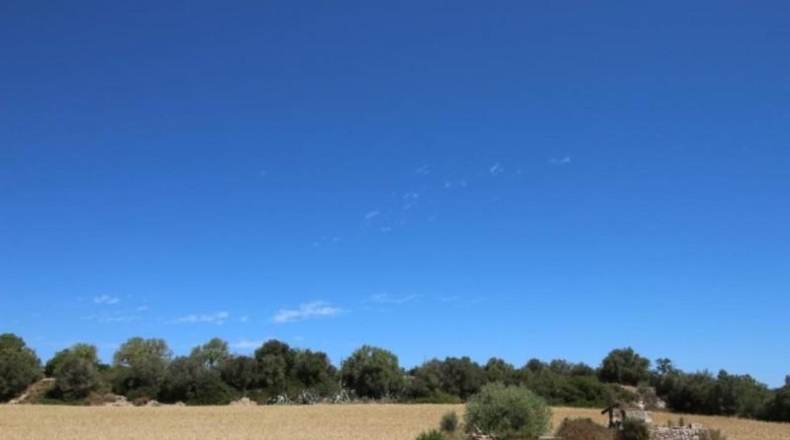 Balearic Islands - Porreras - 31000m2