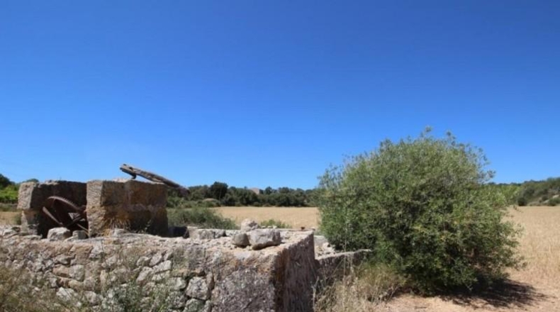 Balearic Islands - Porreras - 31000m2