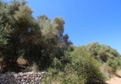 Land suitable for development for sale on España, Porreras, ref: TR115400 photo